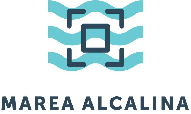 Alternativas a Marea Alcalina para tu tienda online